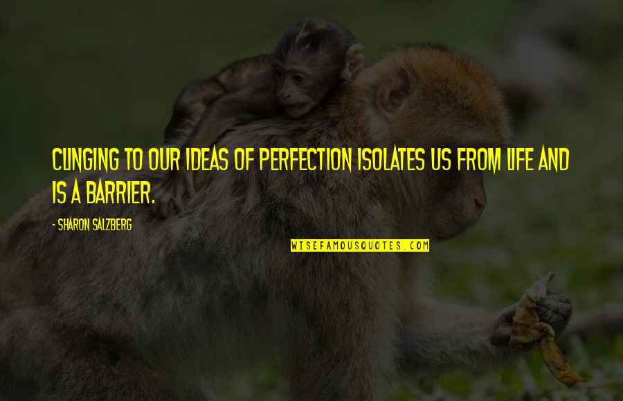 Barrier Quotes By Sharon Salzberg: Clinging to our ideas of perfection isolates us