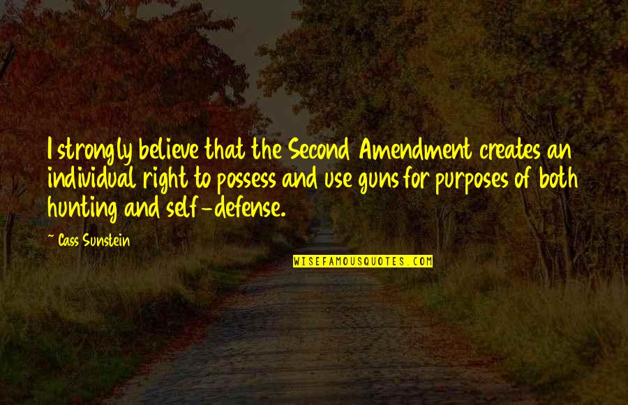 Barroco Cleveland Quotes By Cass Sunstein: I strongly believe that the Second Amendment creates