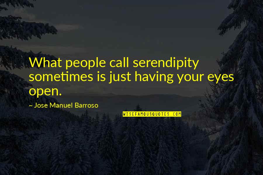 Barroso Quotes By Jose Manuel Barroso: What people call serendipity sometimes is just having