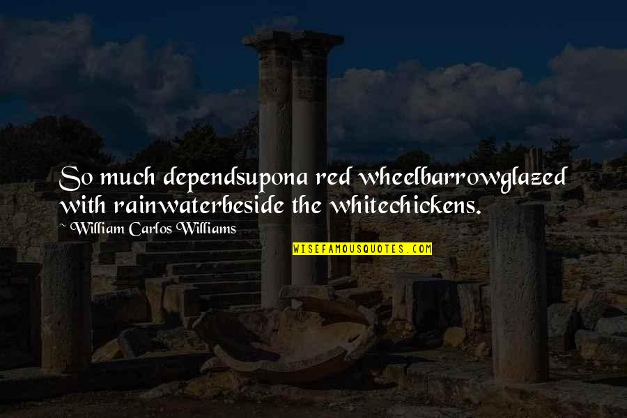 Barrow Quotes By William Carlos Williams: So much dependsupona red wheelbarrowglazed with rainwaterbeside the