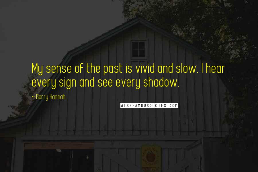 Barry Hannah quotes: My sense of the past is vivid and slow. I hear every sign and see every shadow.