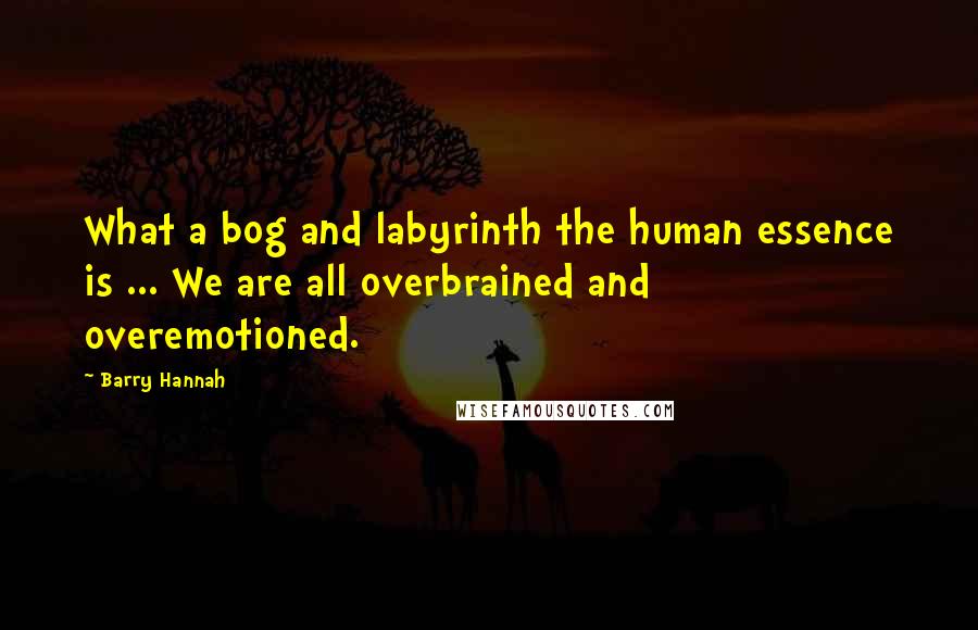 Barry Hannah quotes: What a bog and labyrinth the human essence is ... We are all overbrained and overemotioned.