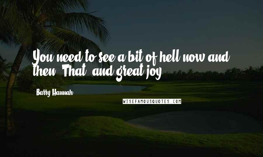 Barry Hannah quotes: You need to see a bit of hell now and then. That, and great joy.