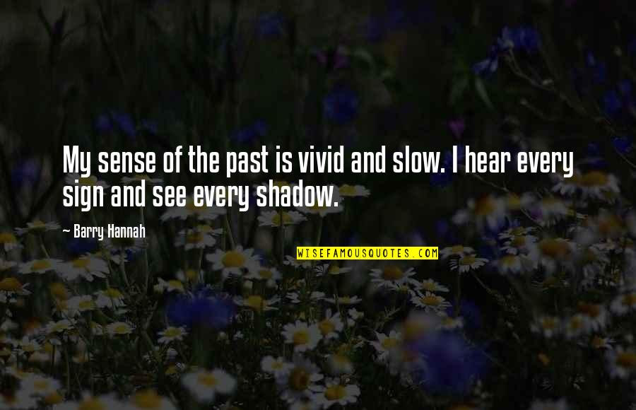 Barry Hannah Quotes By Barry Hannah: My sense of the past is vivid and