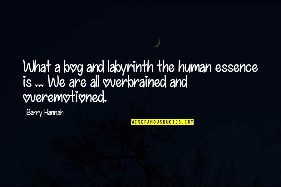 Barry Hannah Quotes By Barry Hannah: What a bog and labyrinth the human essence