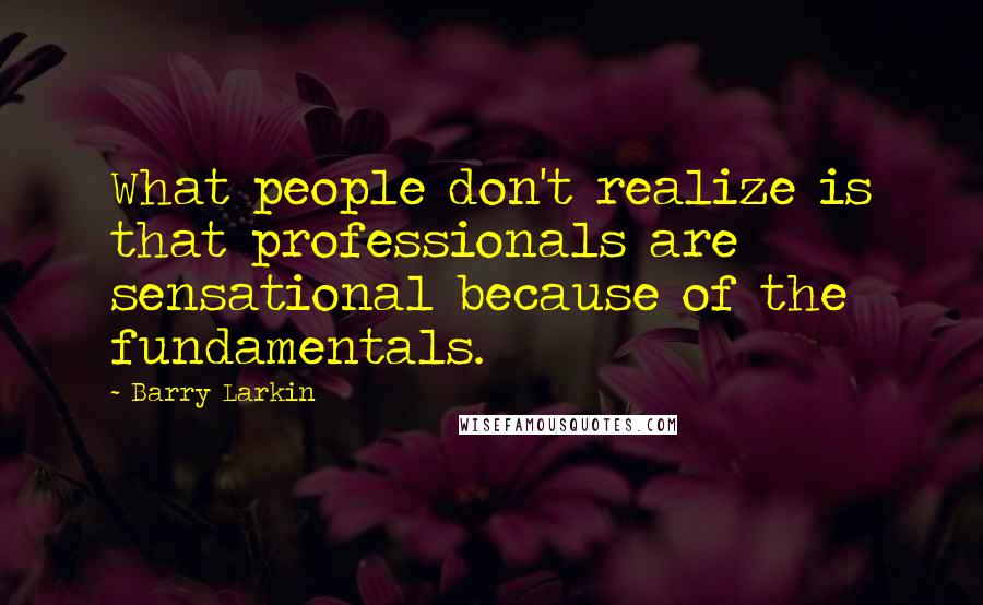 Barry Larkin quotes: What people don't realize is that professionals are sensational because of the fundamentals.