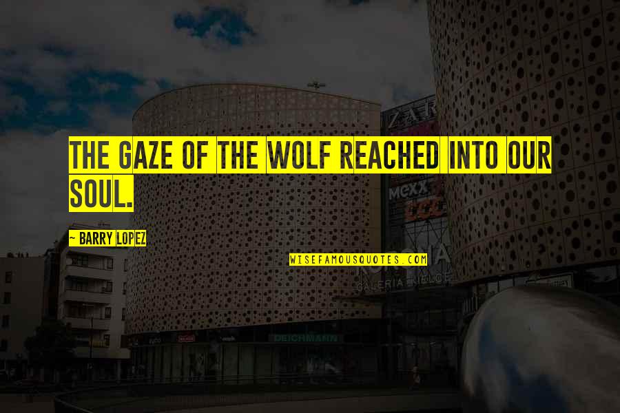 Barry Lopez Wolf Quotes By Barry Lopez: The gaze of the wolf reached into our