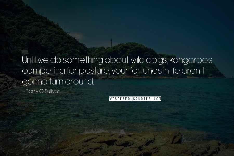 Barry O'Sullivan quotes: Until we do something about wild dogs, kangaroos competing for pasture, your fortunes in life aren't gonna turn around.