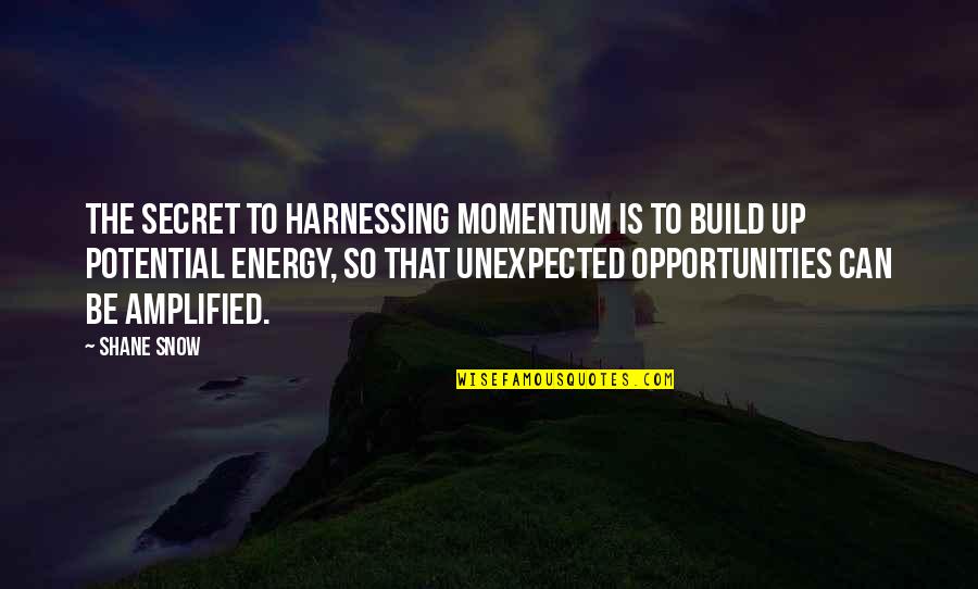 Barry Red Oaks Quotes By Shane Snow: the secret to harnessing momentum is to build