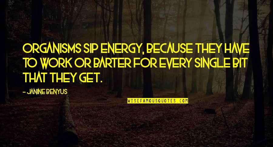 Barter Quotes By Janine Benyus: Organisms sip energy, because they have to work