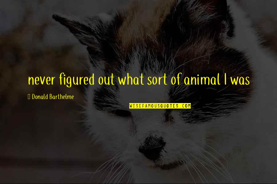 Barthelme Quotes By Donald Barthelme: never figured out what sort of animal I