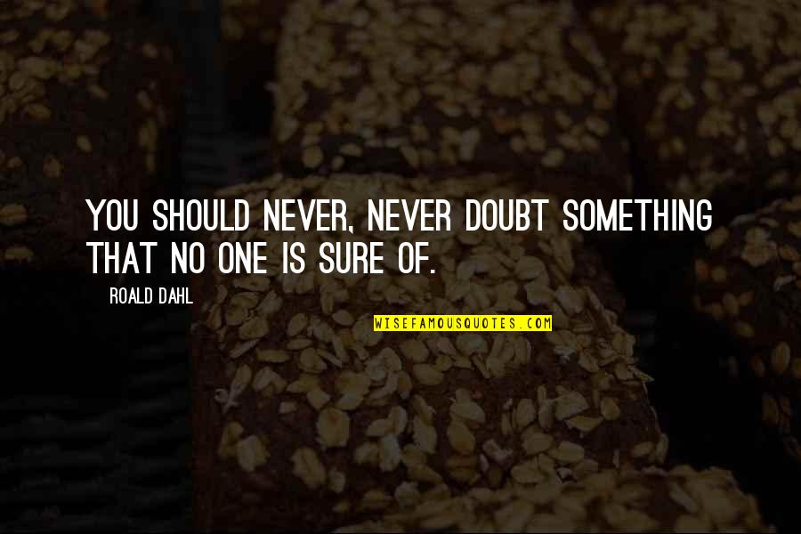 Bartholomae Quotes By Roald Dahl: You should never, never doubt something that no