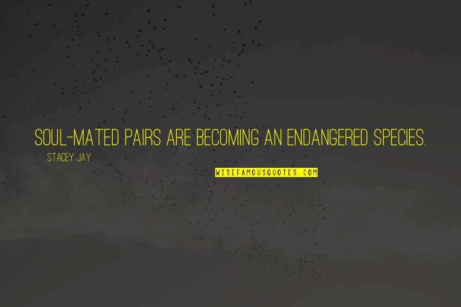 Bartholomae Quotes By Stacey Jay: Soul-mated pairs are becoming an endangered species. Bartholomae Quotes By Stacey Jay: Soul-mated pairs are becoming an endangered species.