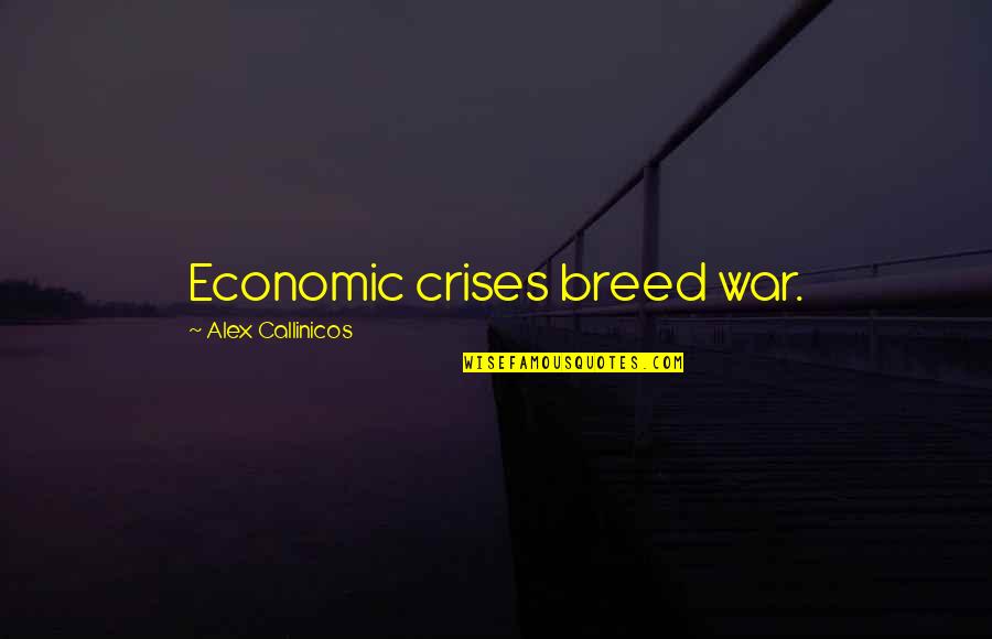 Bartlam Bridge Quotes By Alex Callinicos: Economic crises breed war.