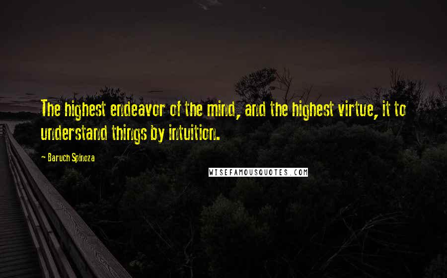 Baruch Spinoza quotes: The highest endeavor of the mind, and the highest virtue, it to understand things by intuition.