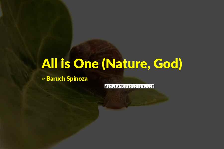 Baruch Spinoza quotes: All is One (Nature, God)