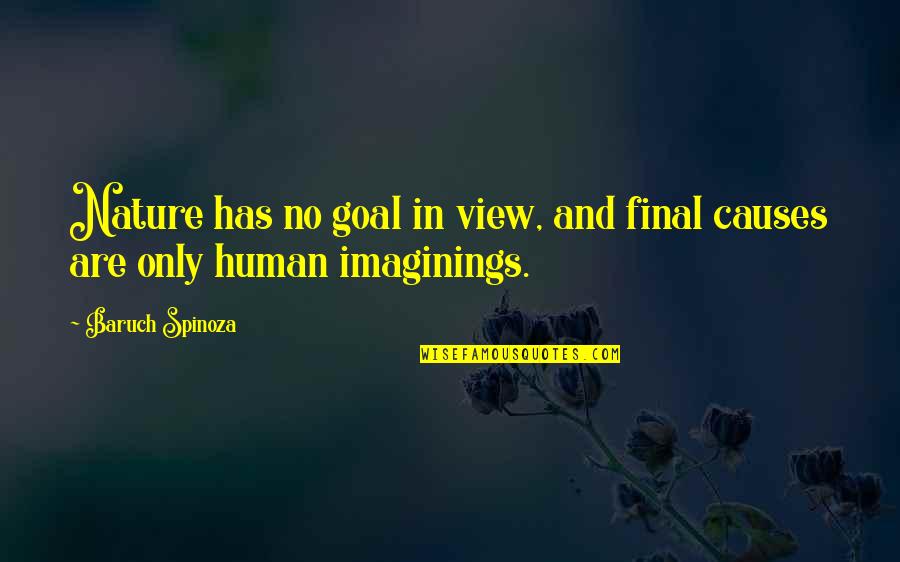 Baruch Spinoza Quotes By Baruch Spinoza: Nature has no goal in view, and final