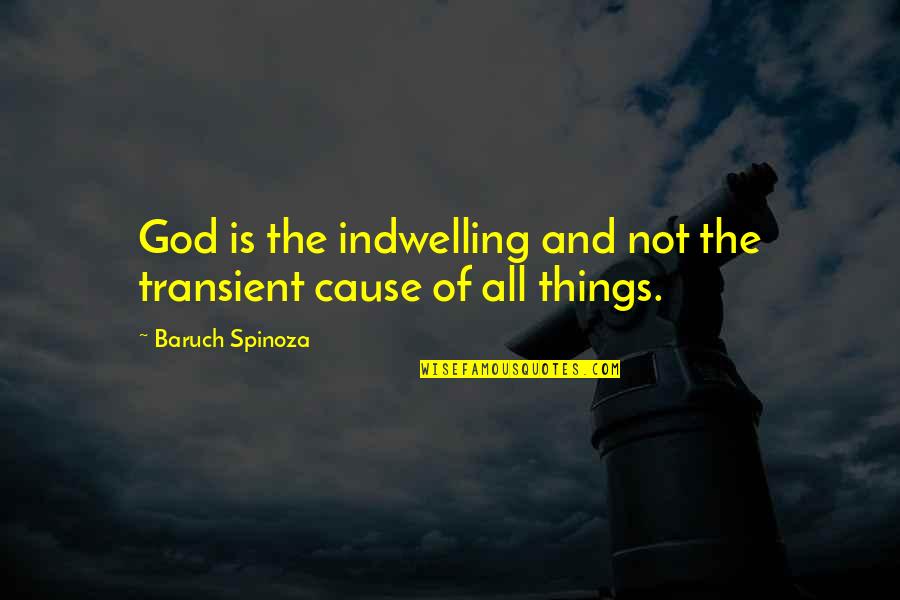 Baruch Spinoza Quotes By Baruch Spinoza: God is the indwelling and not the transient