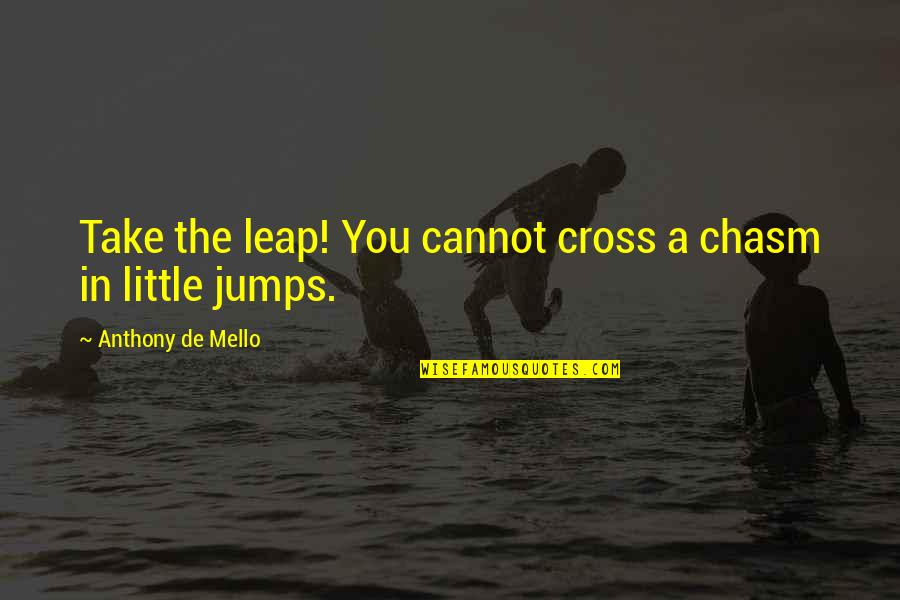 Barulho De Agua Quotes By Anthony De Mello: Take the leap! You cannot cross a chasm