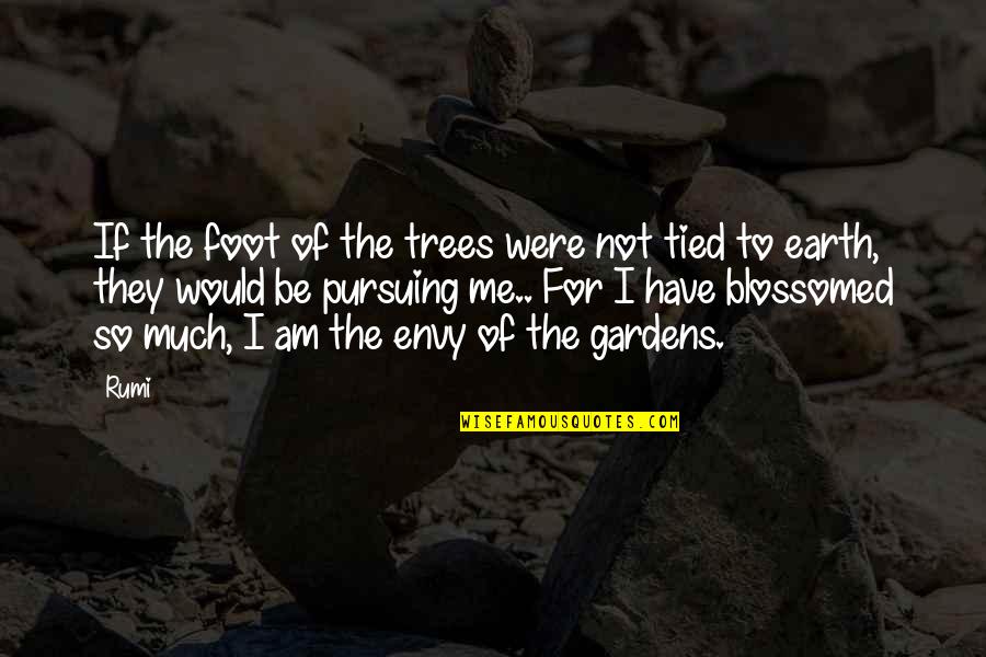 Barumbado Quotes By Rumi: If the foot of the trees were not