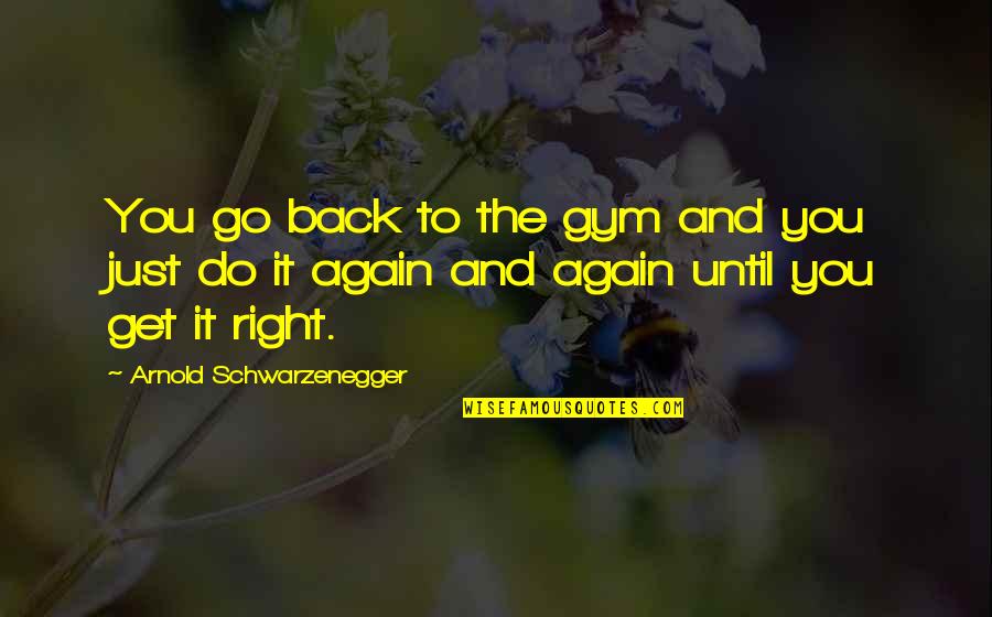 Baryshev Rifle Quotes By Arnold Schwarzenegger: You go back to the gym and you Baryshev Rifle Quotes By Arnold Schwarzenegger: You go back to the gym and you