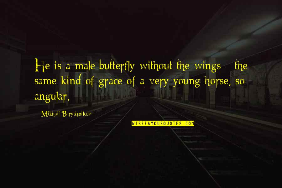 Baryshnikov Quotes By Mikhail Baryshnikov: He is a male butterfly without the wings Baryshnikov Quotes By Mikhail Baryshnikov: He is a male butterfly without the wings