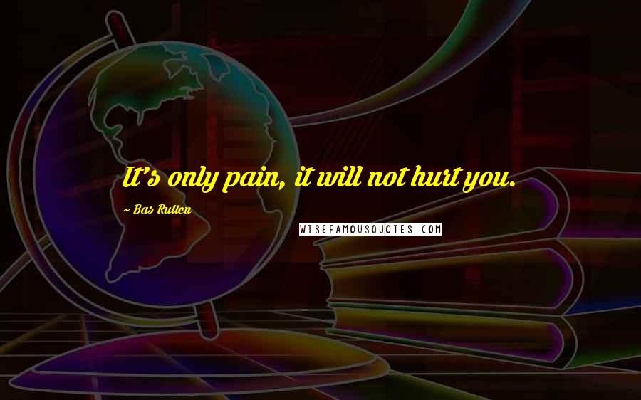 Bas Rutten quotes: It's only pain, it will not hurt you.
