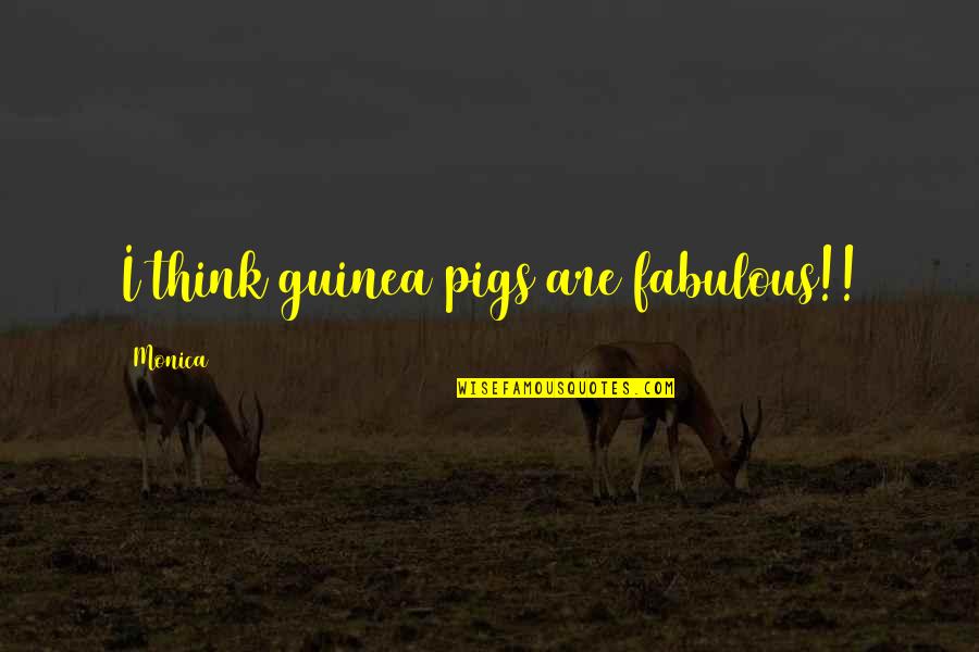 Basant Panchami In Sanskrit Quotes By Monica: I think guinea pigs are fabulous!! Basant Panchami In Sanskrit Quotes By Monica: I think guinea pigs are fabulous!!