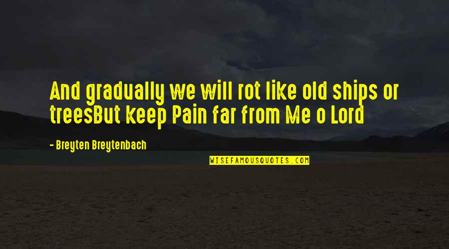 Basarab Quotes By Breyten Breytenbach: And gradually we will rot like old ships Basarab Quotes By Breyten Breytenbach: And gradually we will rot like old ships