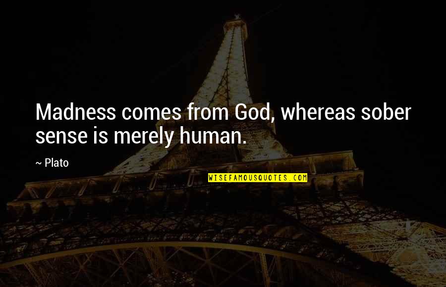 Baseball Greats Quotes By Plato: Madness comes from God, whereas sober sense is