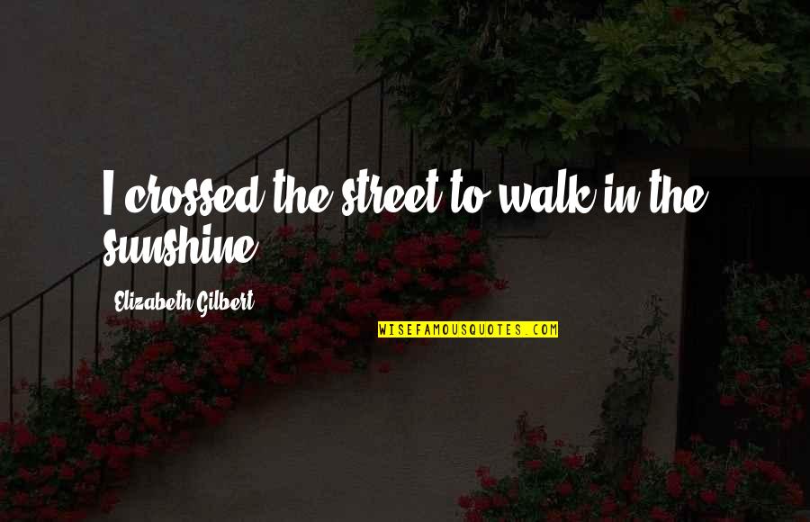 Baseball Pitchers Quotes By Elizabeth Gilbert: I crossed the street to walk in the