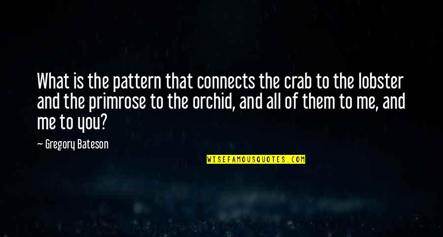 Baseball Rain Delay Quotes By Gregory Bateson: What is the pattern that connects the crab Baseball Rain Delay Quotes By Gregory Bateson: What is the pattern that connects the crab