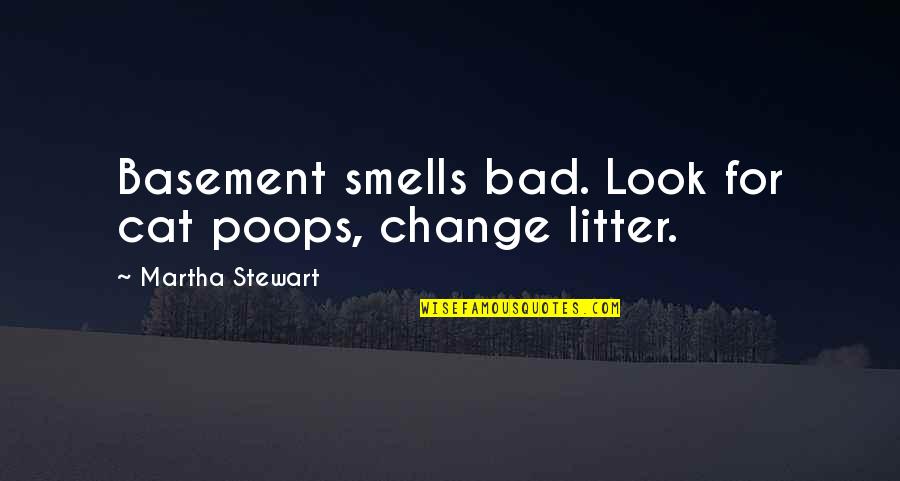 Basement Quotes By Martha Stewart: Basement smells bad. Look for cat poops, change