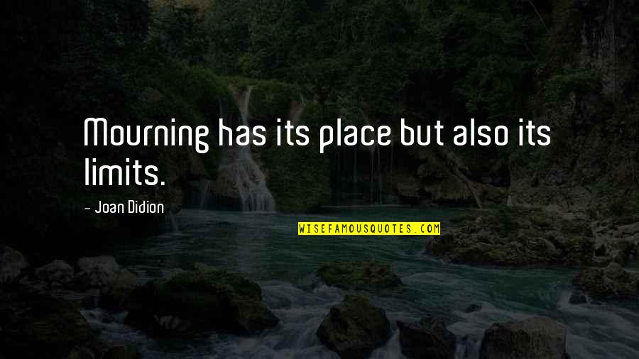 Basenji Dog Quotes By Joan Didion: Mourning has its place but also its limits.