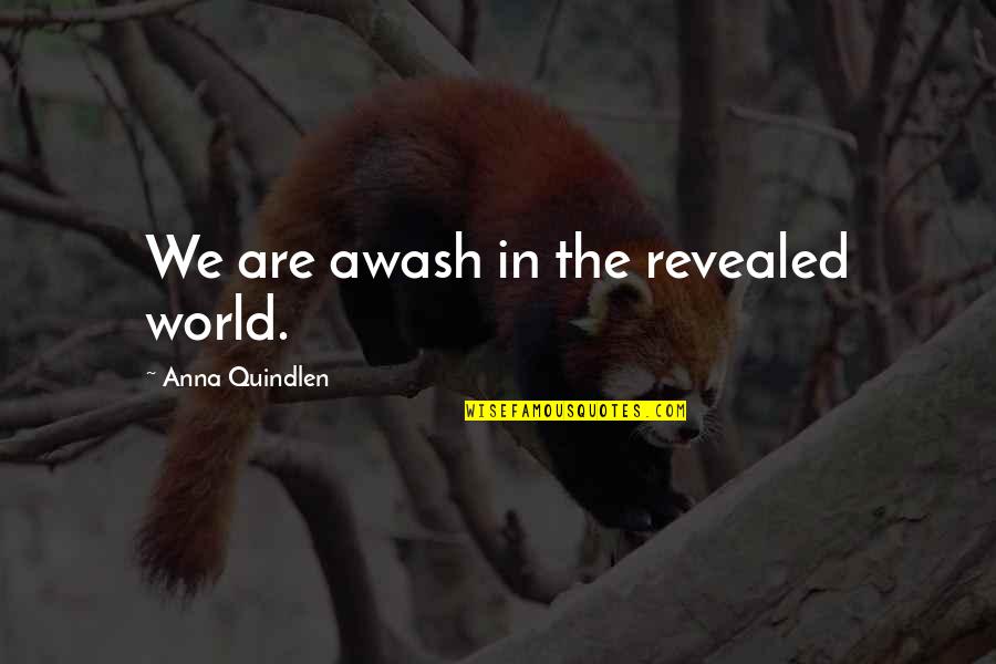 Bash Arguments Double Quotes By Anna Quindlen: We are awash in the revealed world. Bash Arguments Double Quotes By Anna Quindlen: We are awash in the revealed world.