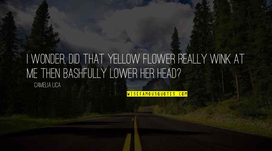Bashfully Quotes By Camelia Lica: I wonder, did that yellow flower really wink