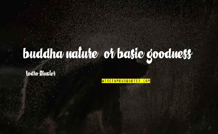 Basic Goodness Quotes By Lodro Rinzler: buddha nature, or basic goodness.