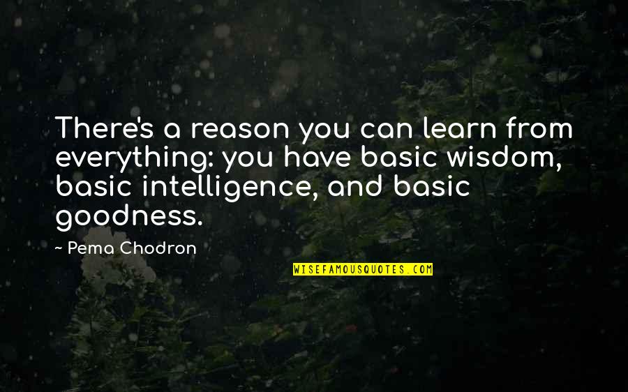 Basic Goodness Quotes By Pema Chodron: There's a reason you can learn from everything: