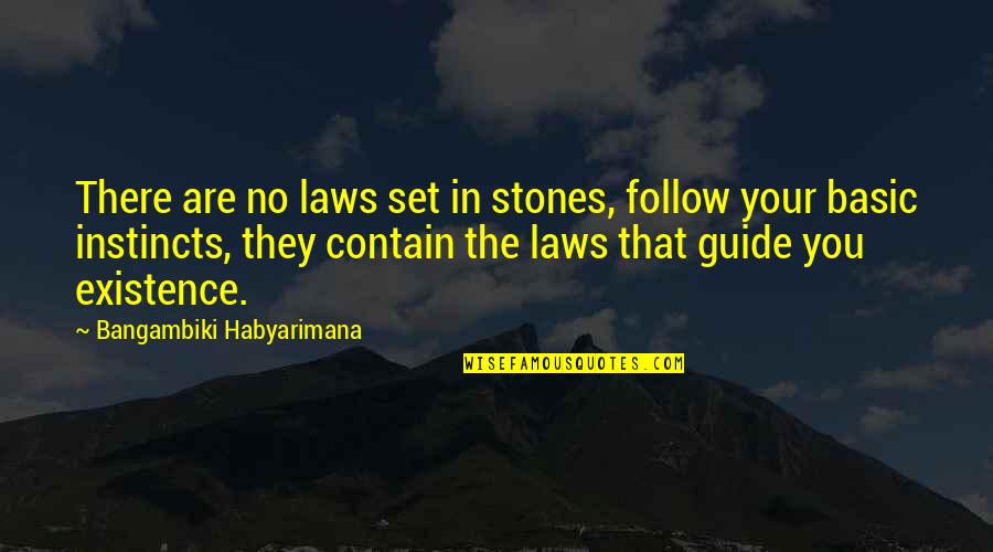 Basic Instinct 2 Quotes By Bangambiki Habyarimana: There are no laws set in stones, follow Basic Instinct 2 Quotes By Bangambiki Habyarimana: There are no laws set in stones, follow