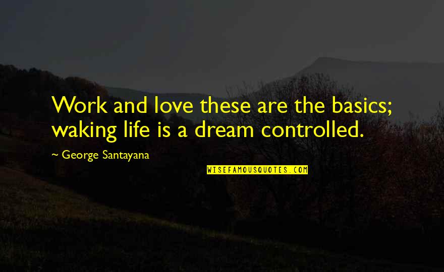Basics Quotes By George Santayana: Work and love these are the basics; waking