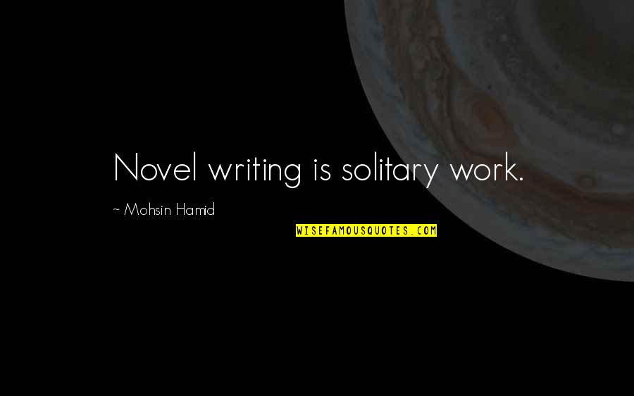Basingers Medical Supplies Quotes By Mohsin Hamid: Novel writing is solitary work.