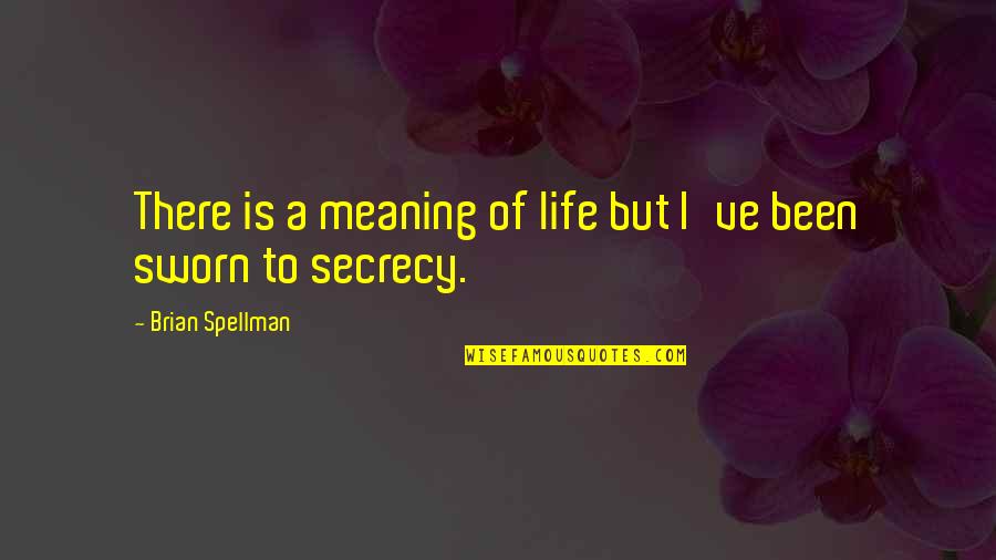 Basis Phoenix Quotes By Brian Spellman: There is a meaning of life but I've