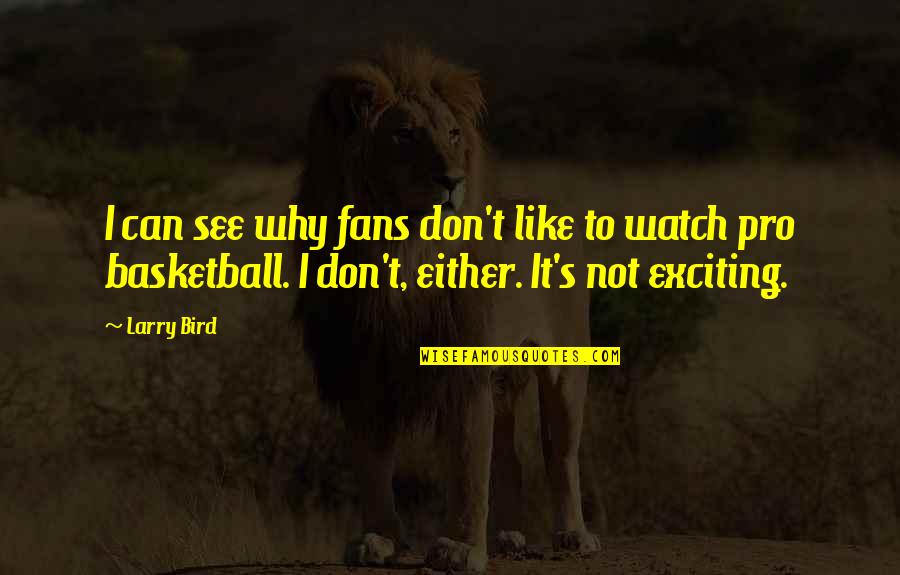 Basketball Fans Quotes By Larry Bird: I can see why fans don't like to