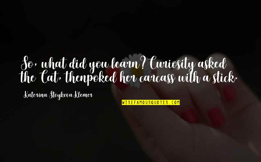 Basketball Quote Quotes By Katerina Stoykova Klemer: So, what did you learn?Curiosity asked the Cat, Basketball Quote Quotes By Katerina Stoykova Klemer: So, what did you learn?Curiosity asked the Cat,
