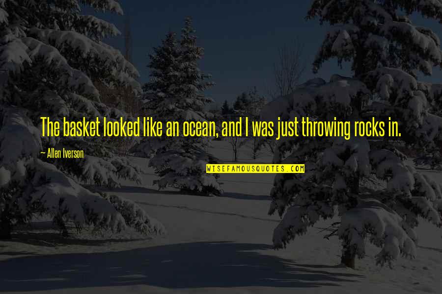 Baskets Quotes By Allen Iverson: The basket looked like an ocean, and I