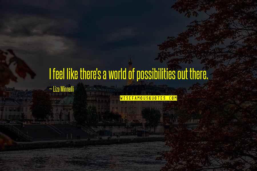 Basking Quotes By Liza Minnelli: I feel like there's a world of possibilities