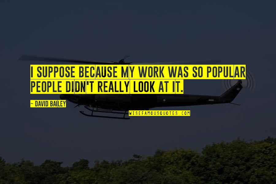 Baspinar Castle Quotes By David Bailey: I suppose because my work was so popular