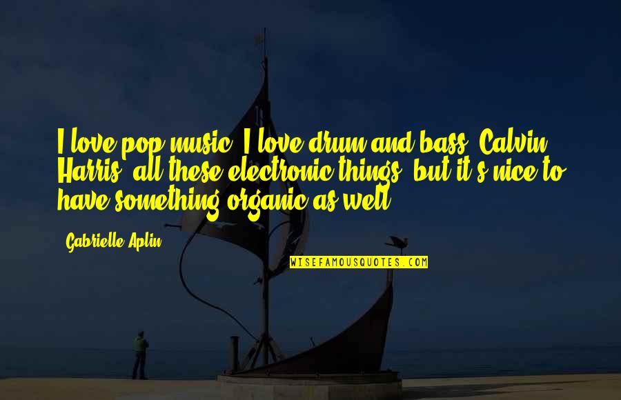 Bass Music Quotes By Gabrielle Aplin: I love pop music. I love drum and