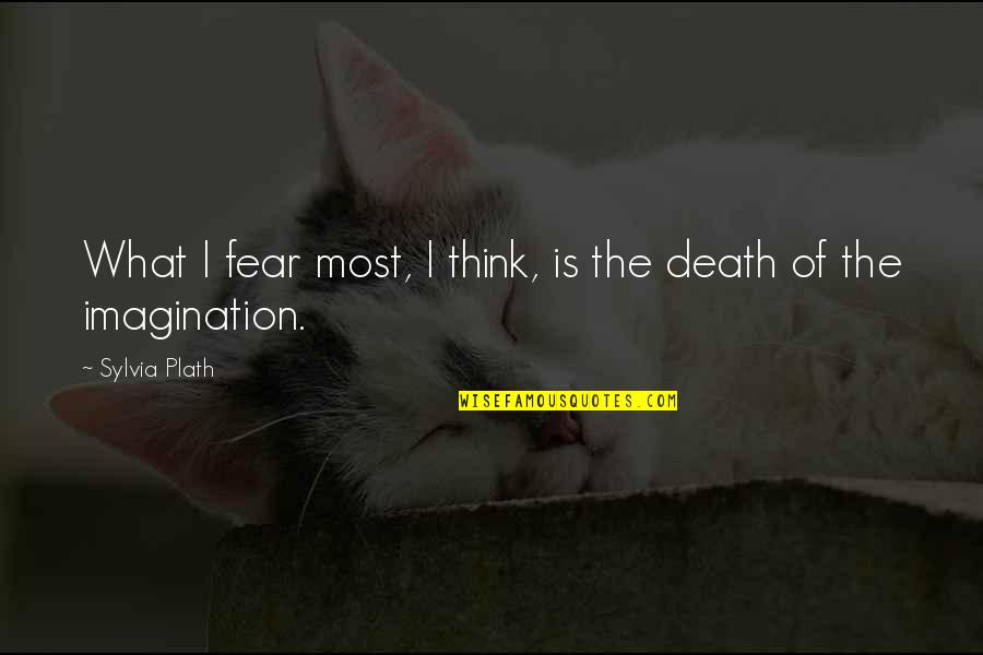 Bassets Quotes By Sylvia Plath: What I fear most, I think, is the