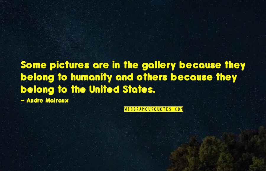 Bastidores Primeiro Quotes By Andre Malraux: Some pictures are in the gallery because they Bastidores Primeiro Quotes By Andre Malraux: Some pictures are in the gallery because they